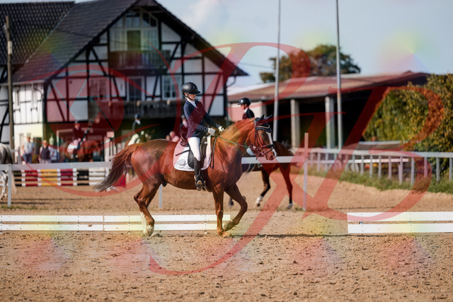 2026_10_03_Siefer-Hof_123646_Z63_54347634 | Professionelle Reitsport-, Turnier- und Eventfotografie von Robert Broda. Galerien mit ausgewählten und bearbeiteten Bildern direkt online ansehen und bestellen.