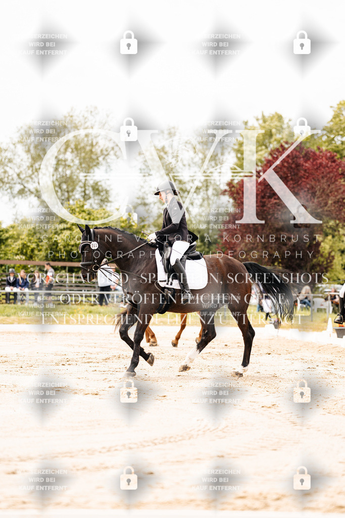 CK902720 | Turnierfotografie Pferdefotografie Trier Rheinland-Pfalz Pferdesport Reitsport Tierfotografie Sportfotografie Pferdevideo Pferdevideografie Equestrianvideography equestrianphotography  - Realisiert mit Pictrs.com
