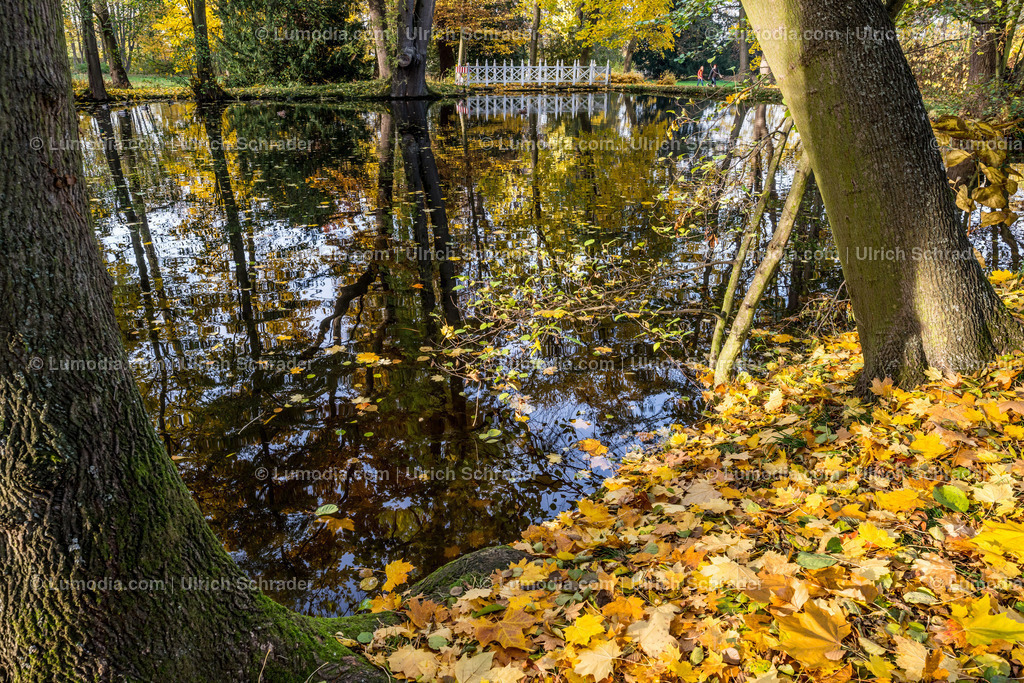 10049-4619 - Schloßpark Ballenstedt | Stockfoto und Bilderpool mit Bildmaterial aus Deutschland, dem Harz, Halberstadt, Quedlinburg, Wernigerode und weltweit. Qualitativ hochwertige und professionelle Fotos anschauen und kaufen. - Realisiert mit Pictrs.com