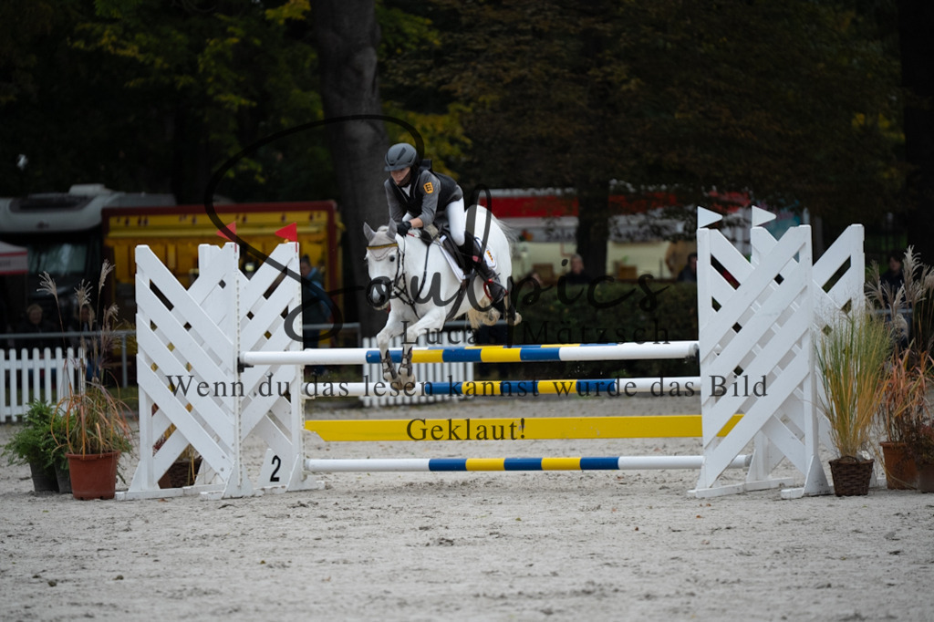 A7V08574 | Turnier/Reitfotograf