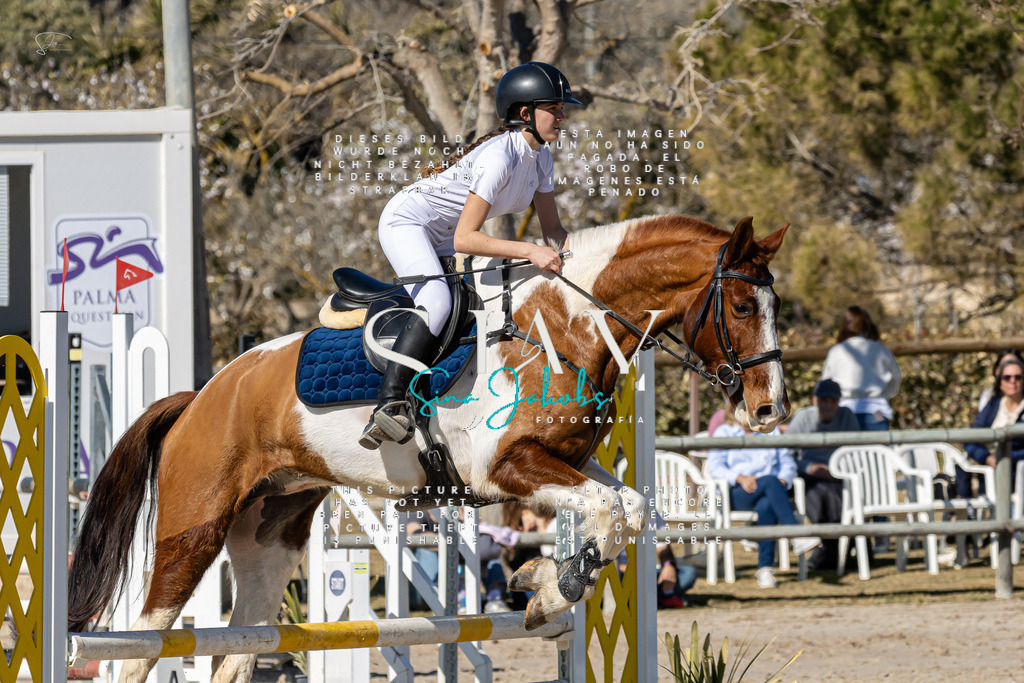 IMG_9063 | s-jay-photography - Realisiert mit Pictrs.com