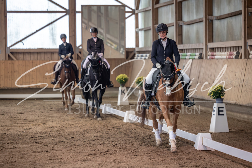 20251011-_3LI1284 | Tierfotografie Pferde, Hunde, Katzen, Haustiere.
Turnierfotografie Reitturniere, Reiten, Springreiten, Dressur in Hanau, dem Main-Kinzig-Kreis und dem Rhein-Main- Gebiet um Frankfurt