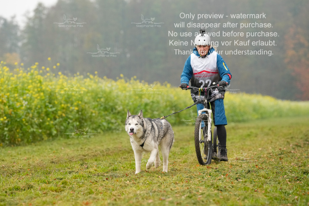 Visbeck_Sa_Scooter_Hc-96 | stephaniefillaphotographie - Realisiert mit Pictrs.com