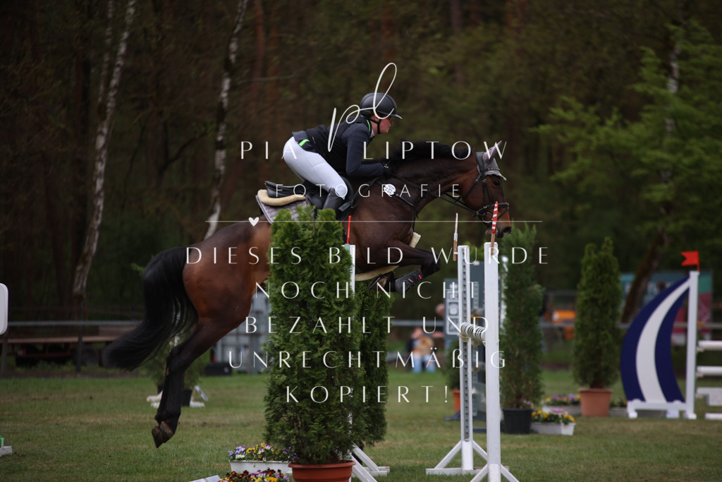 IMGT1817 | pl-fotografie