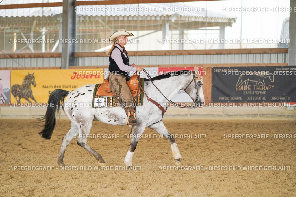 DSC01948 | Pferdegrafie