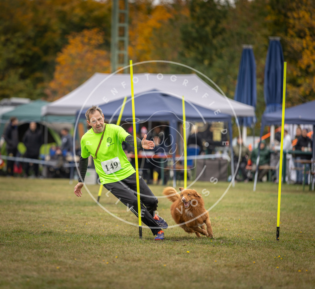 Pfotenfotografie_DV3A6328 | Hundefotografie, Tierfotograf, Pfotenfotografie, Fotoshooting Hund, Hunde Portrait, Hundesport, Hundeportraits, Heideshooting, Hunde, Sportfotograf, Hundefotograf, Turnierhundsport, THS,  - Realisiert mit Pictrs.com