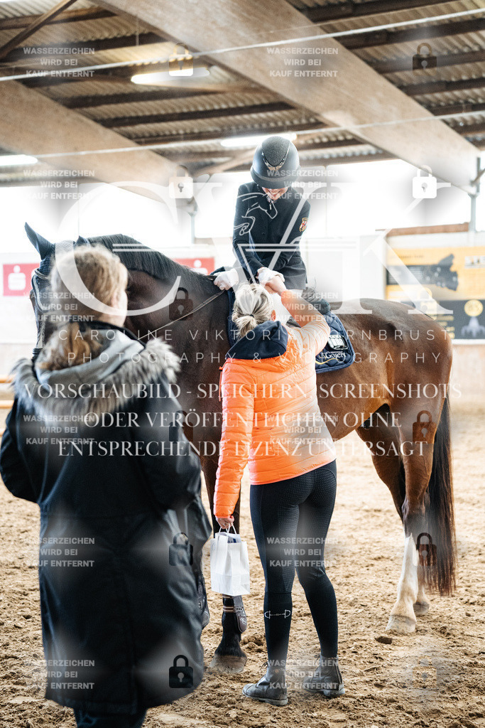 CK702917 | Turnierfotografie Pferdefotografie Trier Rheinland-Pfalz Pferdesport Reitsport Tierfotografie Sportfotografie Pferdevideo Pferdevideografie Equestrianvideography equestrianphotography  - Realisiert mit Pictrs.com