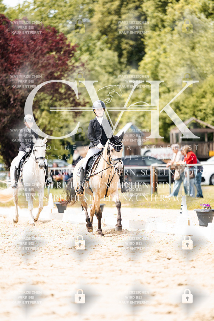 CK902437 | Turnierfotografie Pferdefotografie Trier Rheinland-Pfalz Pferdesport Reitsport Tierfotografie Sportfotografie Pferdevideo Pferdevideografie Equestrianvideography equestrianphotography  - Realisiert mit Pictrs.com