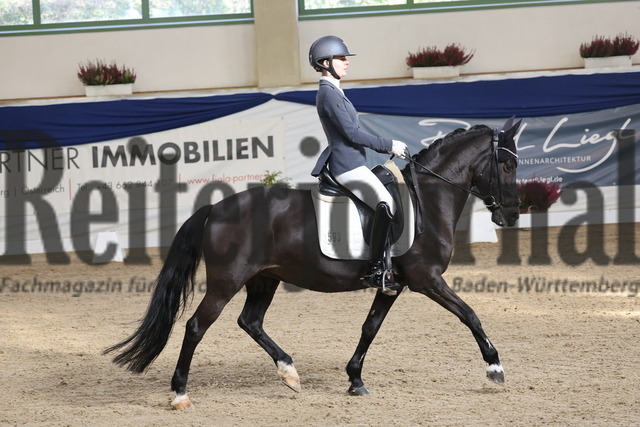 Ising_2025_Prfg.Nr.20_Pony-Dressurprfg.Kl.L_Kür_Emilia Arenz_Püppi de Luxe 2 (3) | Alle Fotos der Reiterjournal Fotografin Doris Matthaes im Reiterjournal Online-Fotoshop. - Realisiert mit Pictrs.com