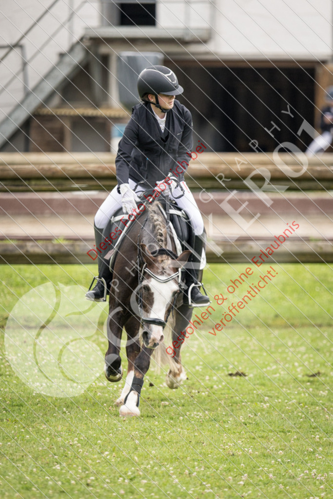 IMG_2748 | Sport-, Event- und Tierfotos in Profiqualität. Einfach auswählen, bestellen und herunterladen. Dein Moment – perfekt festgehalten.