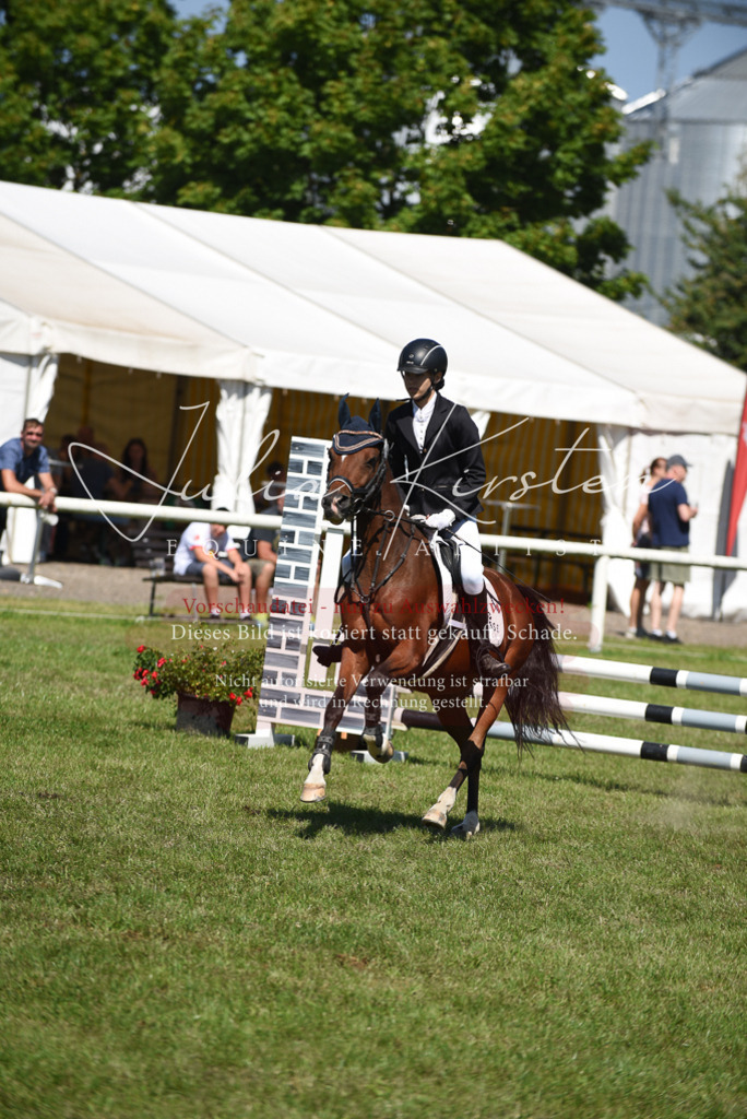 DSC_9563 | Pferde- und Turnierfotografie in Westsachsen. Pferdeportraits, Auftragszeichnungen und intuitive Kunst.
