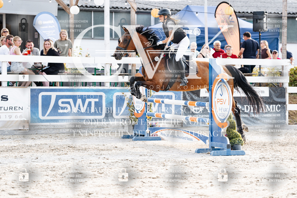 CK906912 | Turnierfotografie Pferdefotografie Trier Rheinland-Pfalz Pferdesport Reitsport Tierfotografie Sportfotografie Pferdevideo Pferdevideografie Equestrianvideography equestrianphotography  - Realisiert mit Pictrs.com