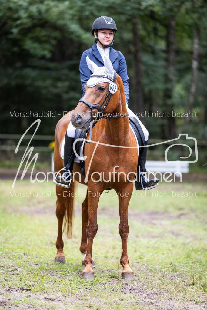 HB-Dressur-WB-083 | MomenTaufnahmen Pferdesportfotos