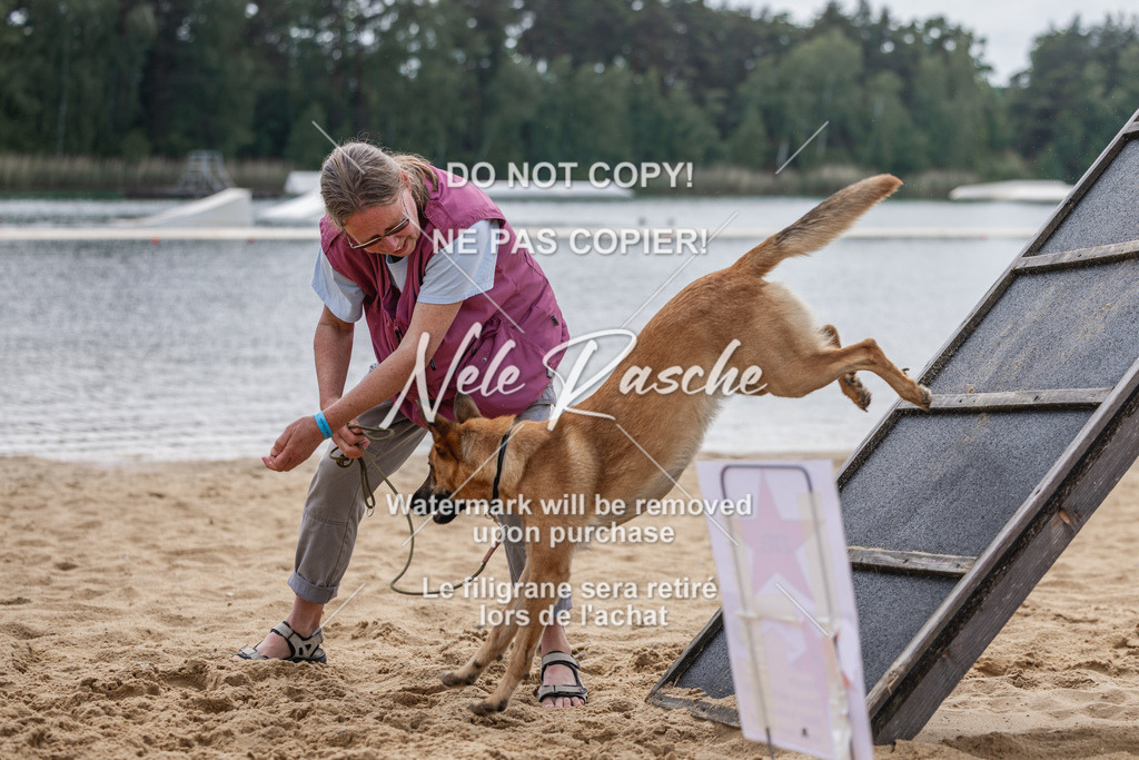 nelerasche_BuHu2026_So1530-Ende_90 | nelerasche