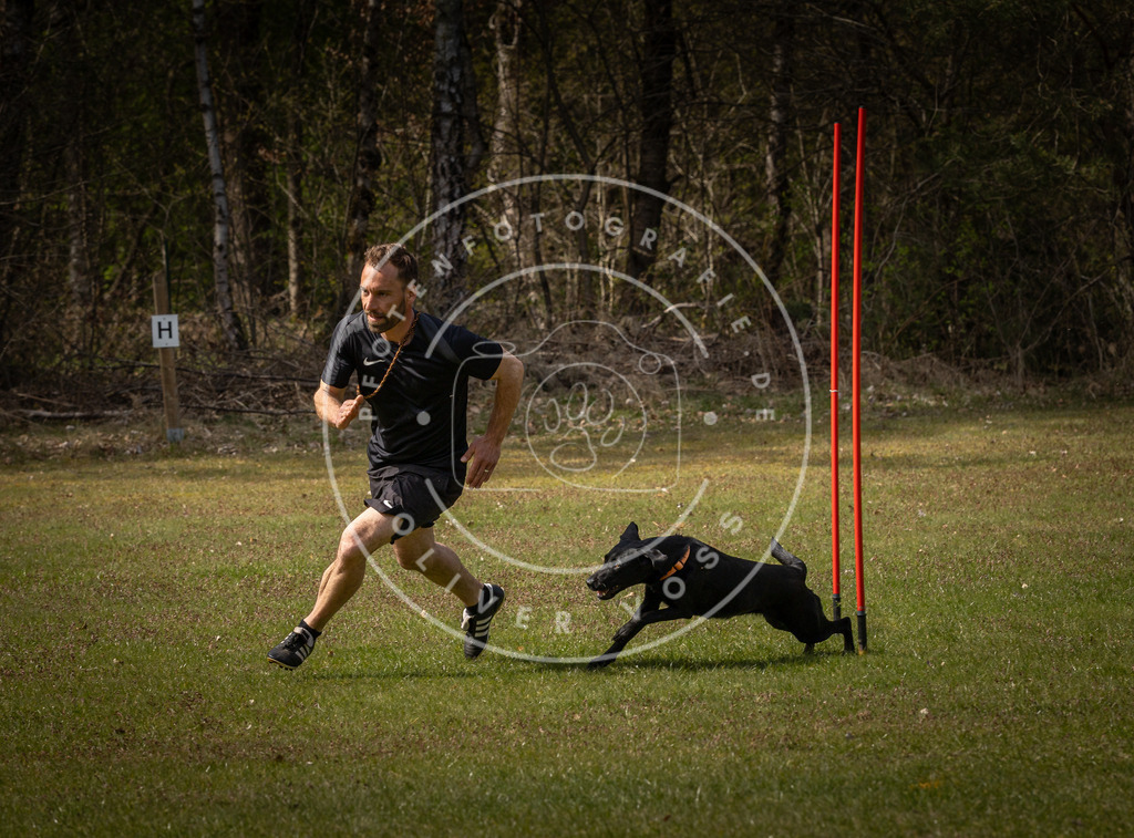 Pfotenfotografie_DV3A4356 | Hundefotografie, Tierfotograf, Pfotenfotografie, Fotoshooting Hund, Hunde Portrait, Hundesport, Hundeportraits, Heideshooting, Hunde, Sportfotograf, Hundefotograf, Turnierhundsport, THS,  - Realisiert mit Pictrs.com