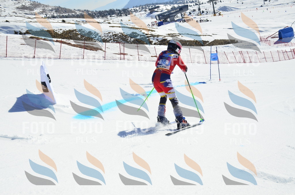 _ELE9867 | holidayphoto