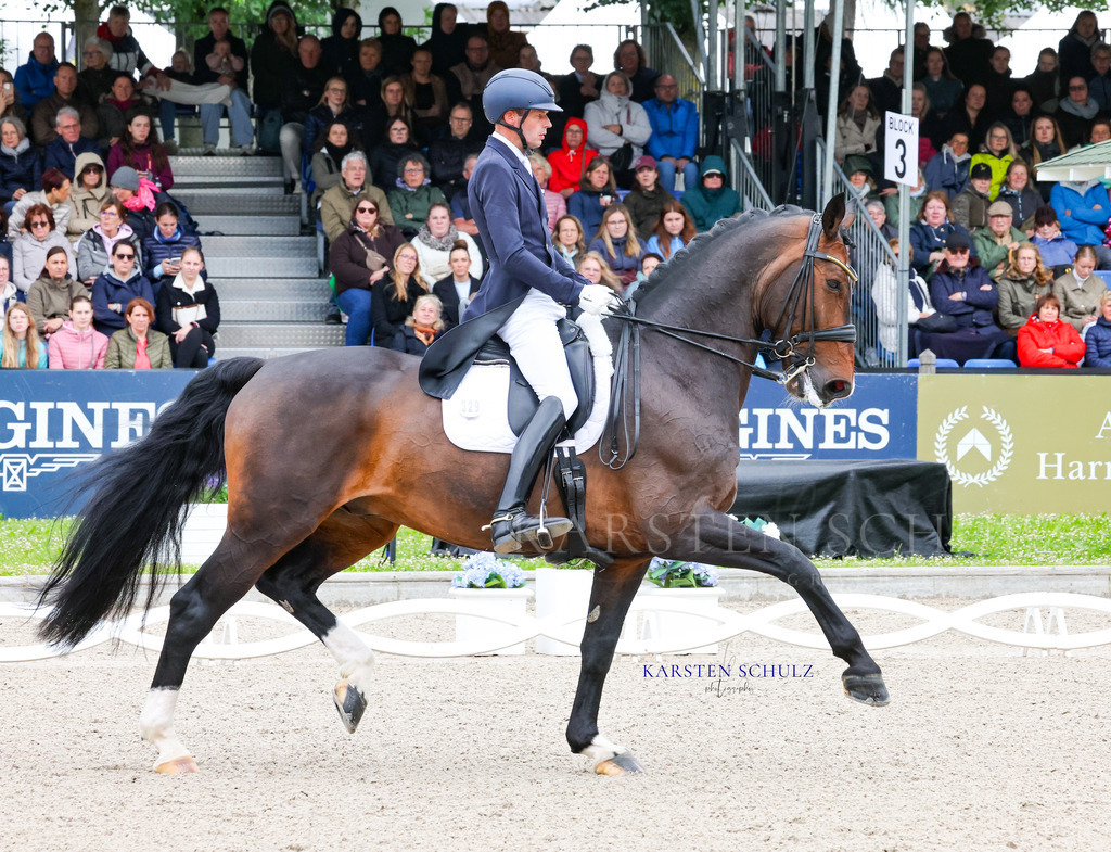 1B3A7577 | Reitsport Reiten