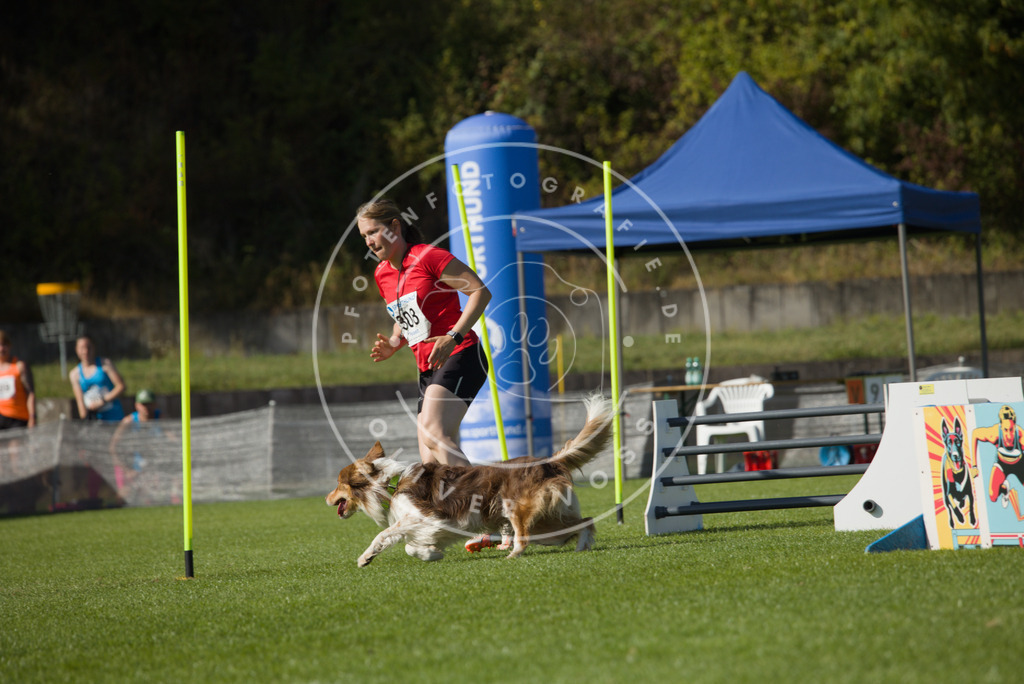 0L8A8758 | Hundefotografie, Tierfotograf, Pfotenfotografie, Fotoshooting Hund, Hunde Portrait, Hundesport, Hundeportraits, Heideshooting, Hunde, Sportfotograf, Hundefotograf, Turnierhundsport, THS,  - Realisiert mit Pictrs.com