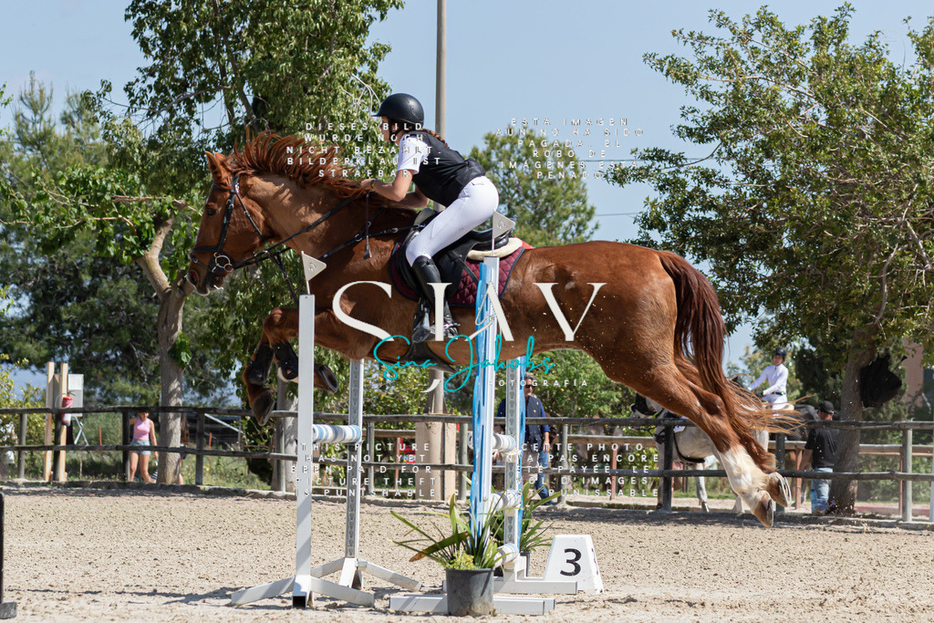 IMG_0657 | s-jay-photography - Realisiert mit Pictrs.com