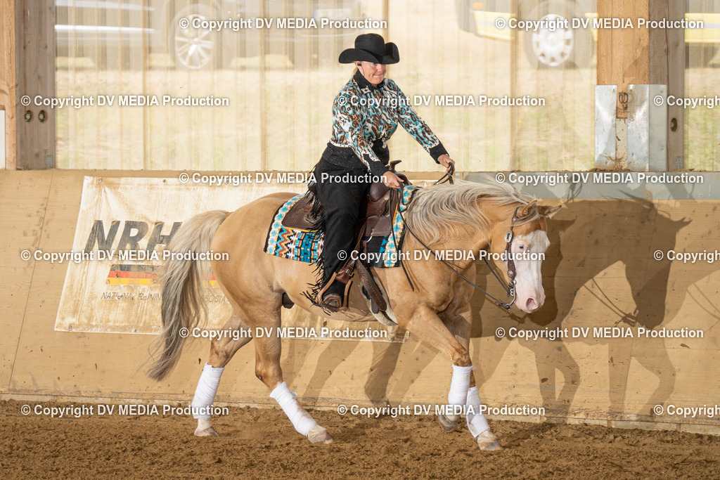 LAU01558 | dv-media-shop - Realisiert mit Pictrs.com