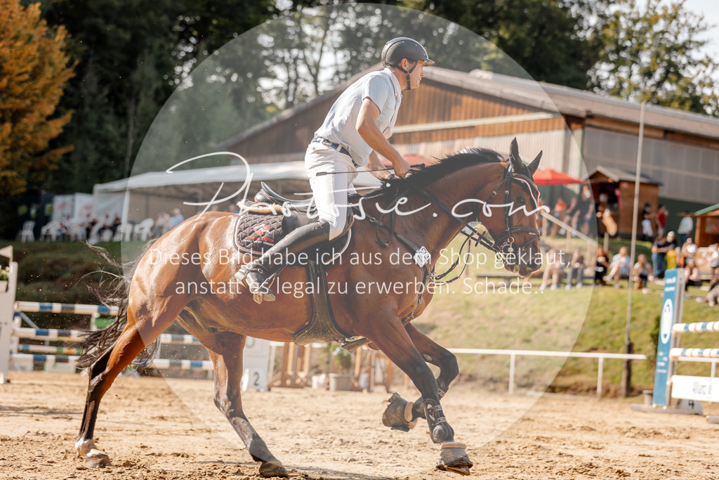 3I6A4635 | Stimmungsvolle Portraits und Reitsportfotografie im Ruhrgebiet und im Münsterland.

Pferdefotografie, Hundefotografie, Tierfotografie, Reportagen, Portraits von Tier und Mensch, Turnierfotografie in Bochum, Recklinghausen, Marl, Haltern am See, Dülmen.. - Realisiert mit Pictrs.com