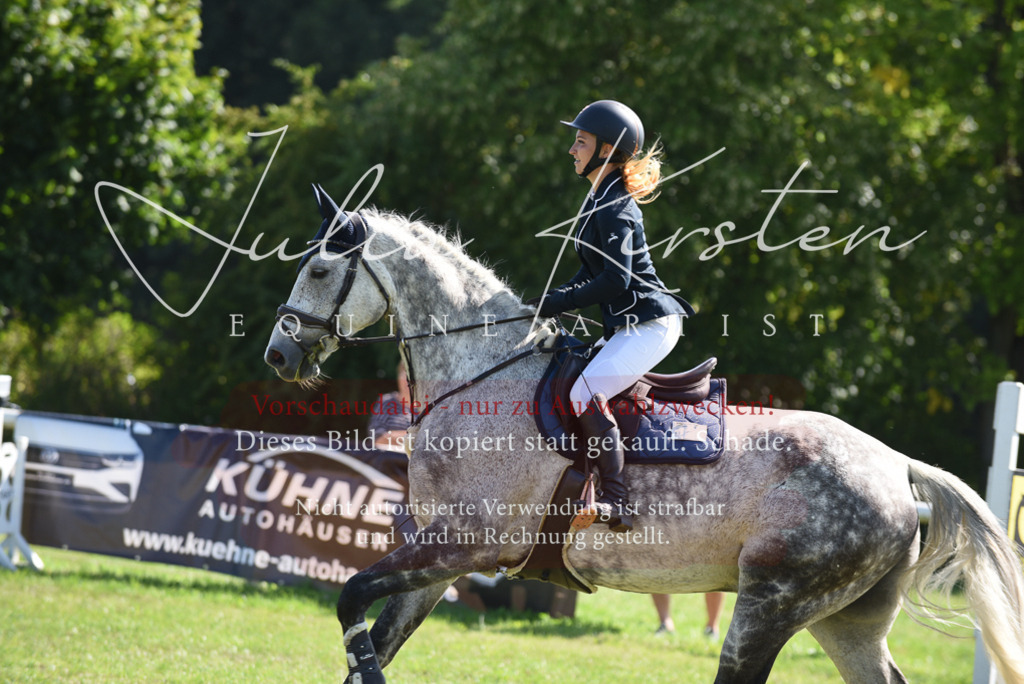 DSC_9139 | Pferde- und Turnierfotografie in Westsachsen. Pferdeportraits, Auftragszeichnungen und intuitive Kunst.