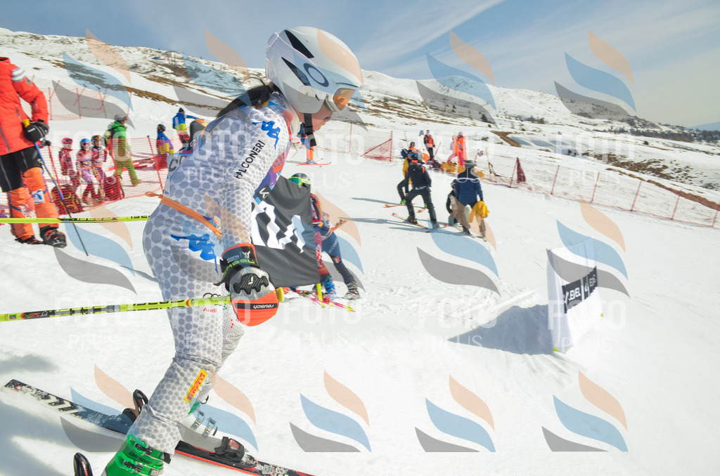 _ELE4804 | holidayphoto