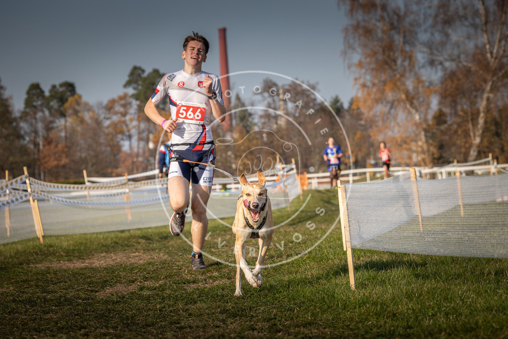 CaniXpix_0L8A9530 | Hundefotografie, Tierfotograf, Pfotenfotografie, Fotoshooting Hund, Hunde Portrait, Hundesport, Hundeportraits, Heideshooting, Hunde, Sportfotograf, Hundefotograf, Turnierhundsport, THS,  - Realisiert mit Pictrs.com