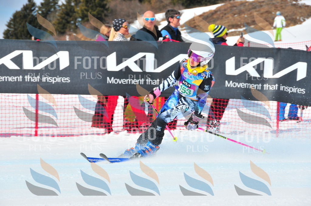 DSC_1354 | holidayphoto