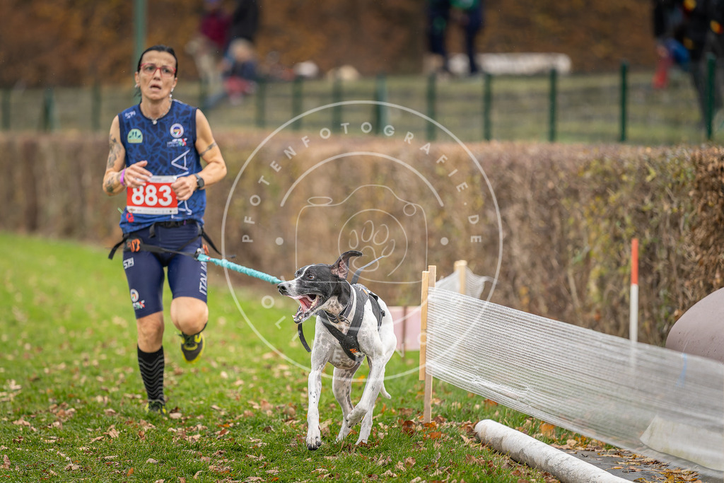 CaniXpix_DV3A6840 | Hundefotografie, Tierfotograf, Pfotenfotografie, Fotoshooting Hund, Hunde Portrait, Hundesport, Hundeportraits, Heideshooting, Hunde, Sportfotograf, Hundefotograf, Turnierhundsport, THS,  - Realisiert mit Pictrs.com