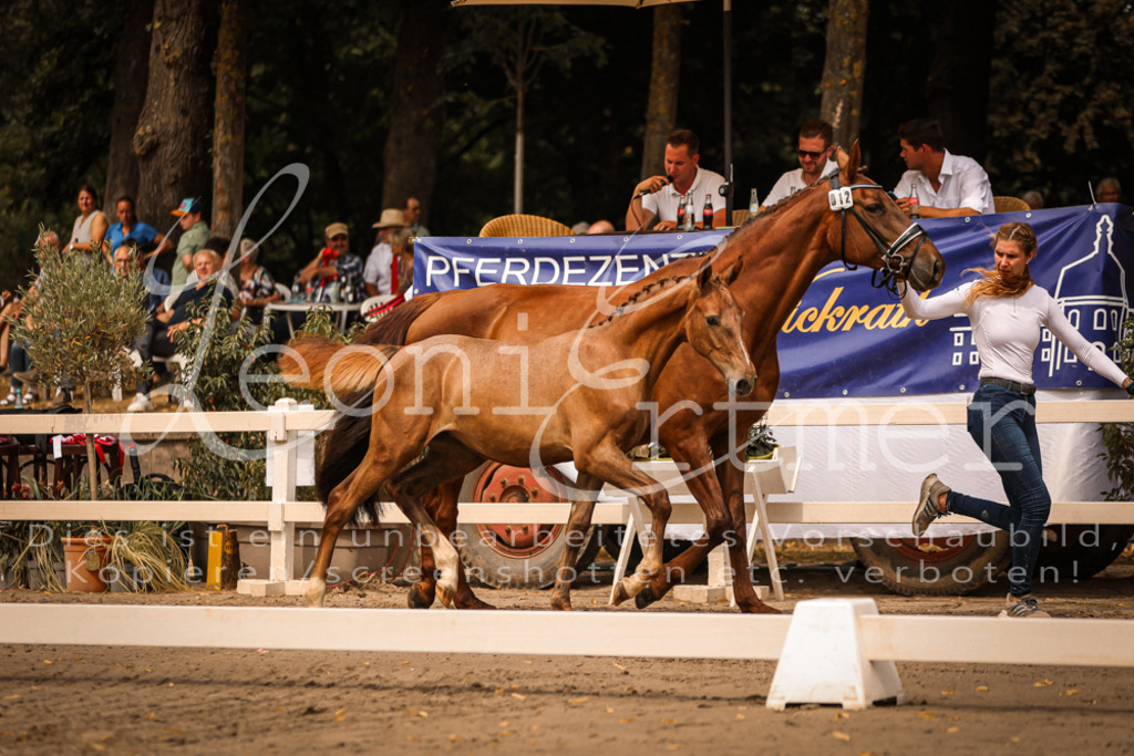 SaPA00164 | Leoni Ertmer Photography - Realisiert mit Pictrs.com