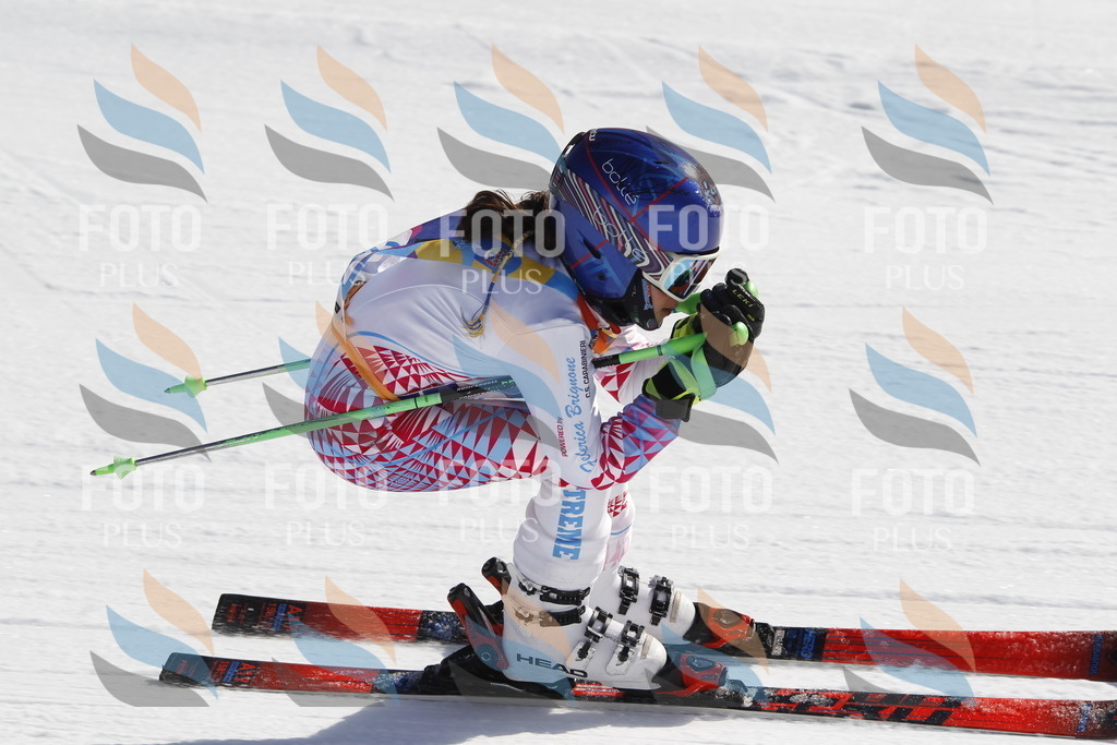 _U3G8952 | holidayphoto