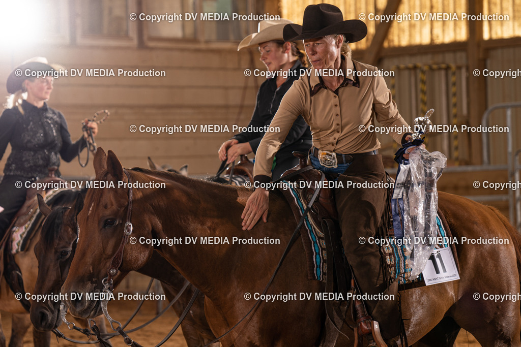 NID00610 | dv-media-shop - Realisiert mit Pictrs.com