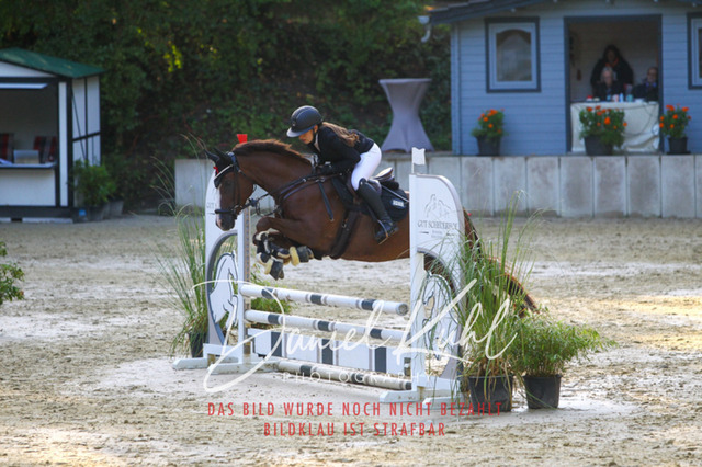 DKP40097 | Turniersportfotografie; Pferdefotografie; Dressurfotografie