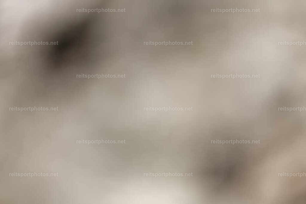 JoYaR3_Heidehof_01041 | JoYa Fotografie - Realisiert mit Pictrs.com