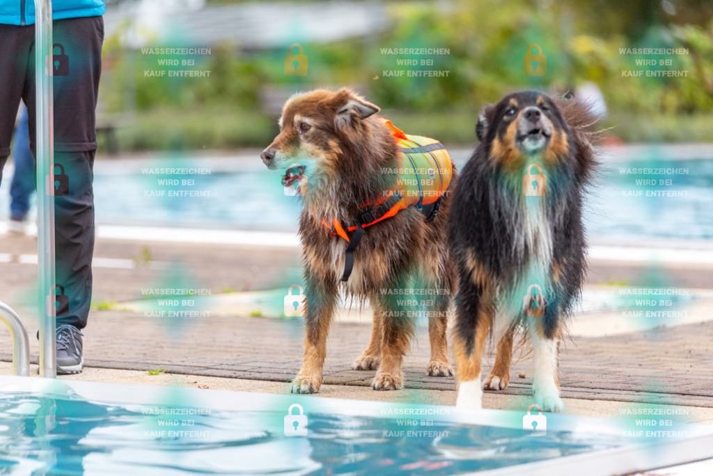 _HP_6055_1000o | HetPix, HetPix Fotodesign, Fotografie, Fotodesign, Webshop, Sportfotografie, Portraitfotografie, Onlineshop, Sportfotografie, Polch, Motorsportfotografie, Eventfotografie