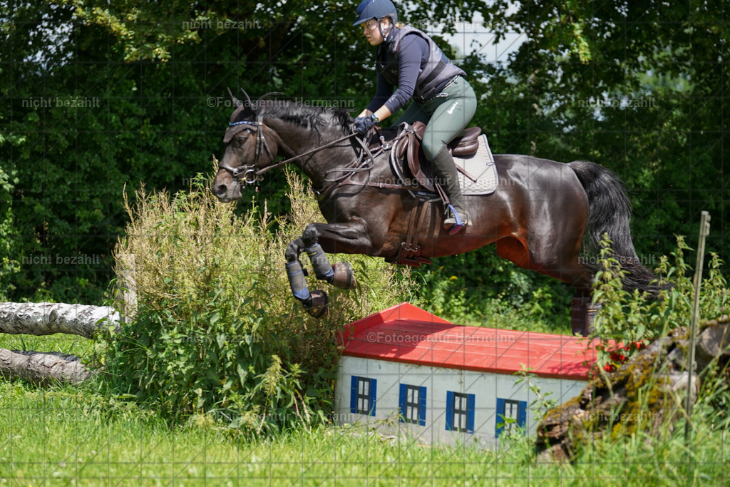20240622-FAH06785 | Turnierfotografen Bayern, Reitsportbilder aus dem Geländekurs mit Felix Etzel auf dem Gut Waitzacker 2024