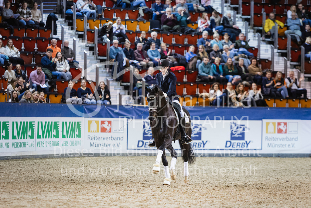 250108_Muenster_Hengstpräsentation-173 | Deine schönsten Turniermomente als professionelle Fotos! Entdecke hochwertige Pferdesport-Fotografie im Online-Shop. Jetzt Fotos finden & bestellen!