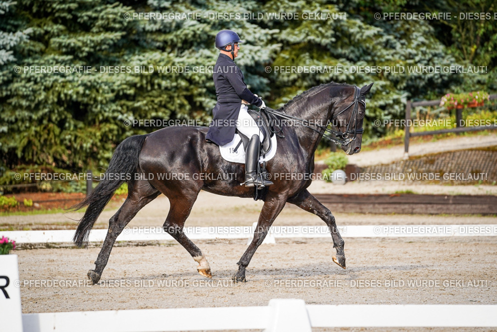 DSC00403 | Pferdegrafie