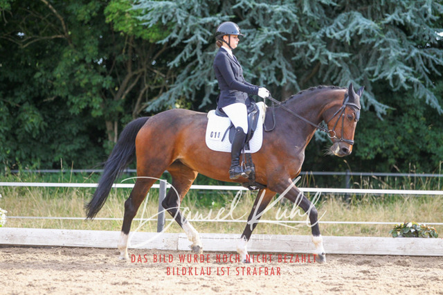 DKP45602 | Turniersportfotografie; Pferdefotografie; Dressurfotografie