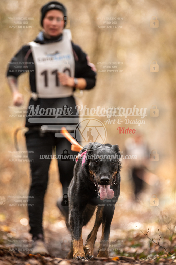 Reiat2023_SON_CaniXRun_5km_W-68 | PayLife