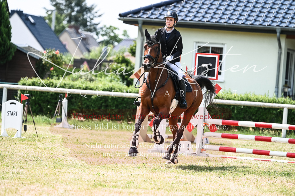 DSC_9427 | Pferde- und Turnierfotografie in Westsachsen. Pferdeportraits, Auftragszeichnungen und intuitive Kunst.