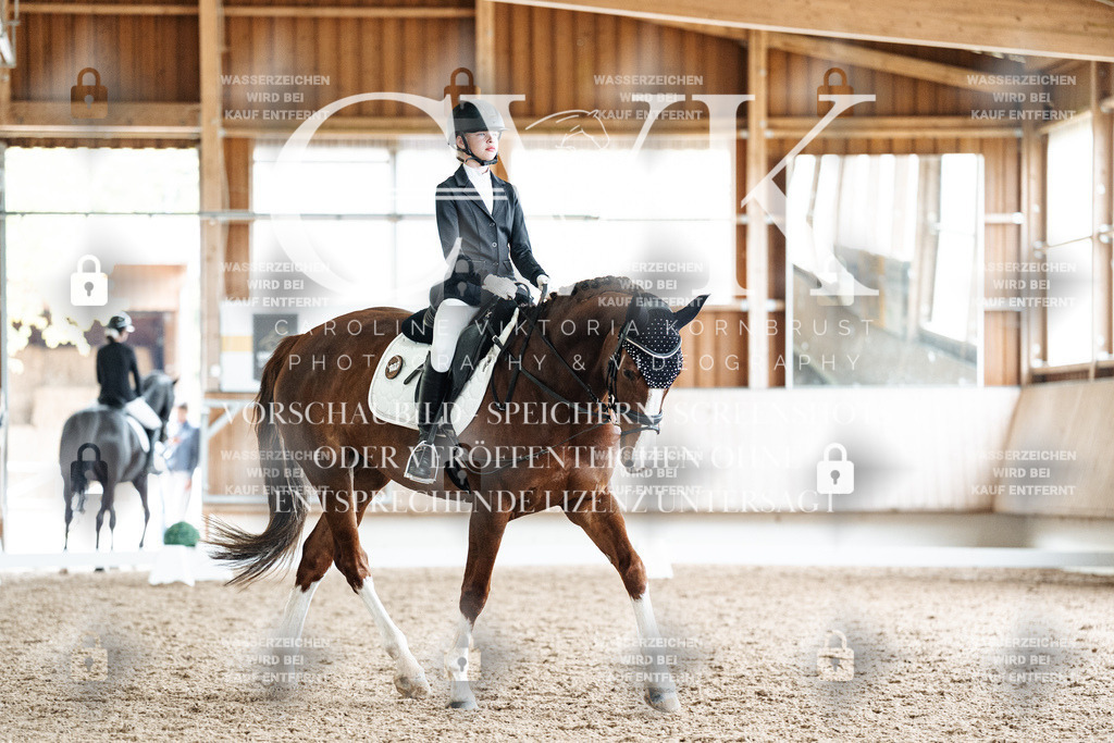 CK900899 | Turnierfotografie Pferdefotografie Trier Rheinland-Pfalz Pferdesport Reitsport Tierfotografie Sportfotografie Pferdevideo Pferdevideografie Equestrianvideography equestrianphotography  - Realisiert mit Pictrs.com