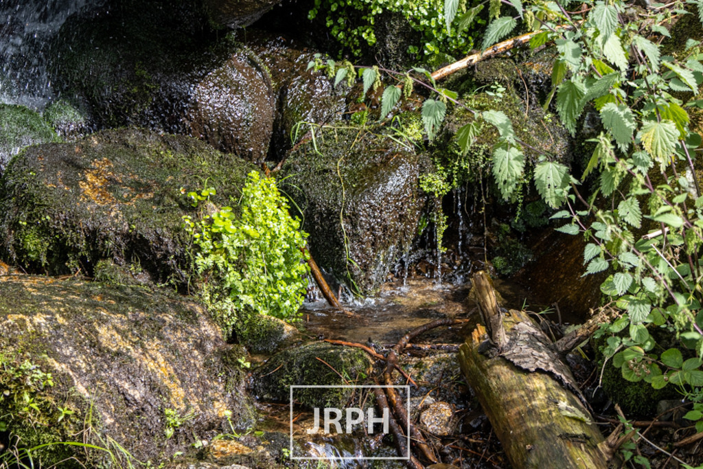 IMG_7888 | jrph - Realisiert mit Pictrs.com