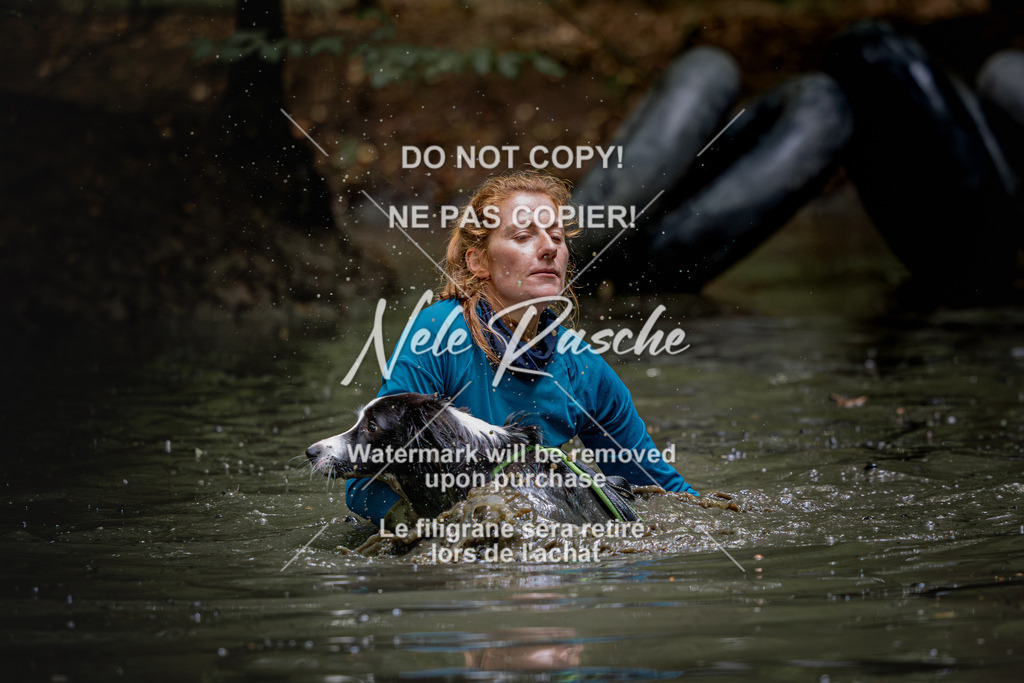 nelerasche_SaWingst1230-1300_364 | nelerasche