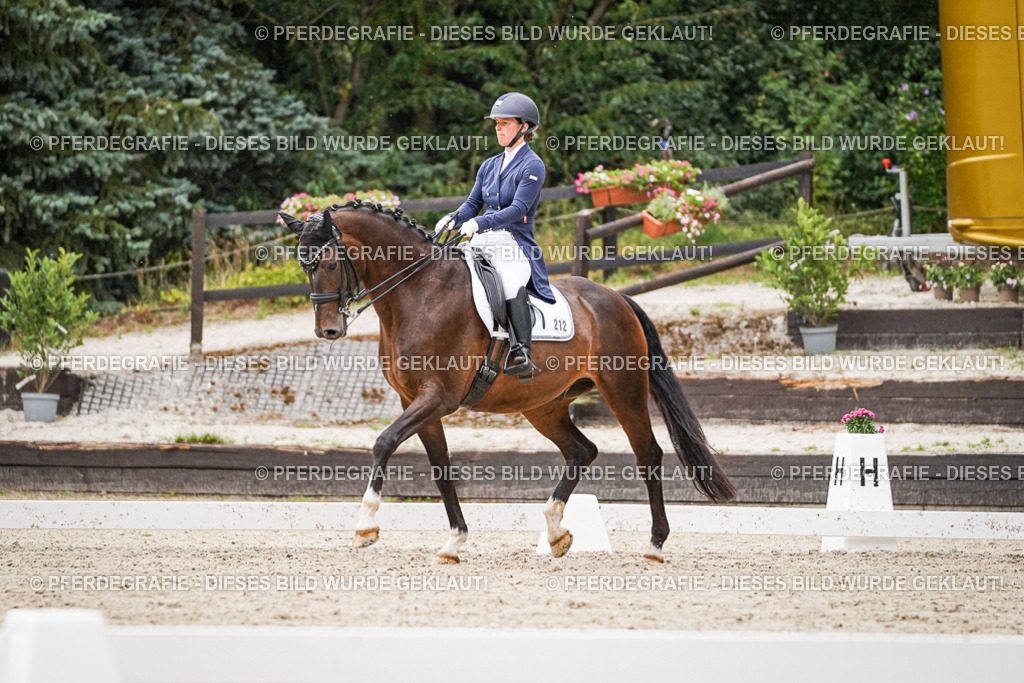 DSC07933 | Pferdegrafie