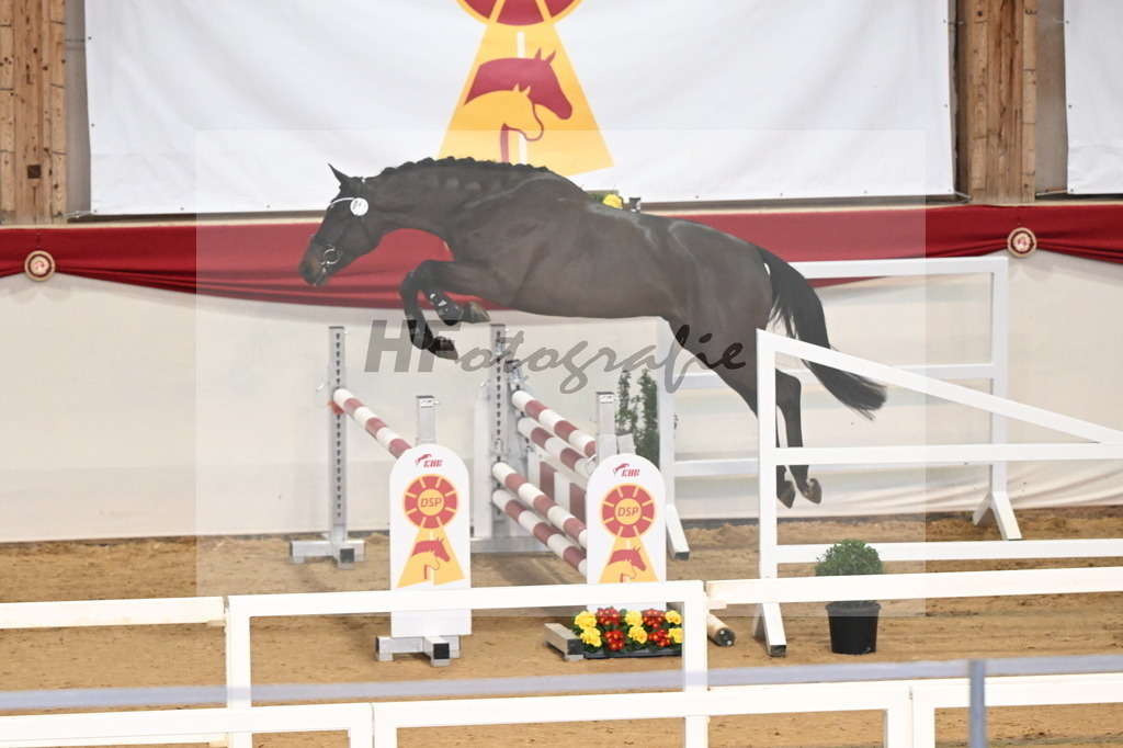 Kat.-Nr. 10 v. Conthargos_Jürgens_3261616 | hf-fotografie - Realizzato con Pictrs.com