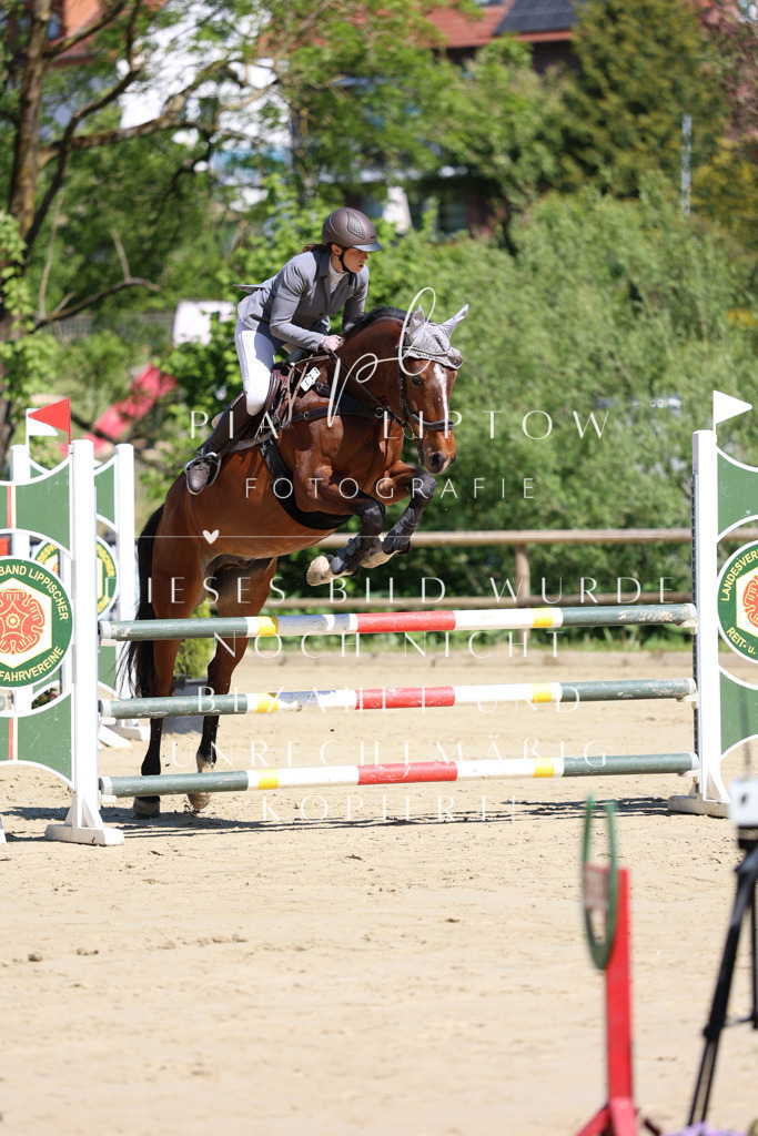 IMGS7219 | pl-fotografie