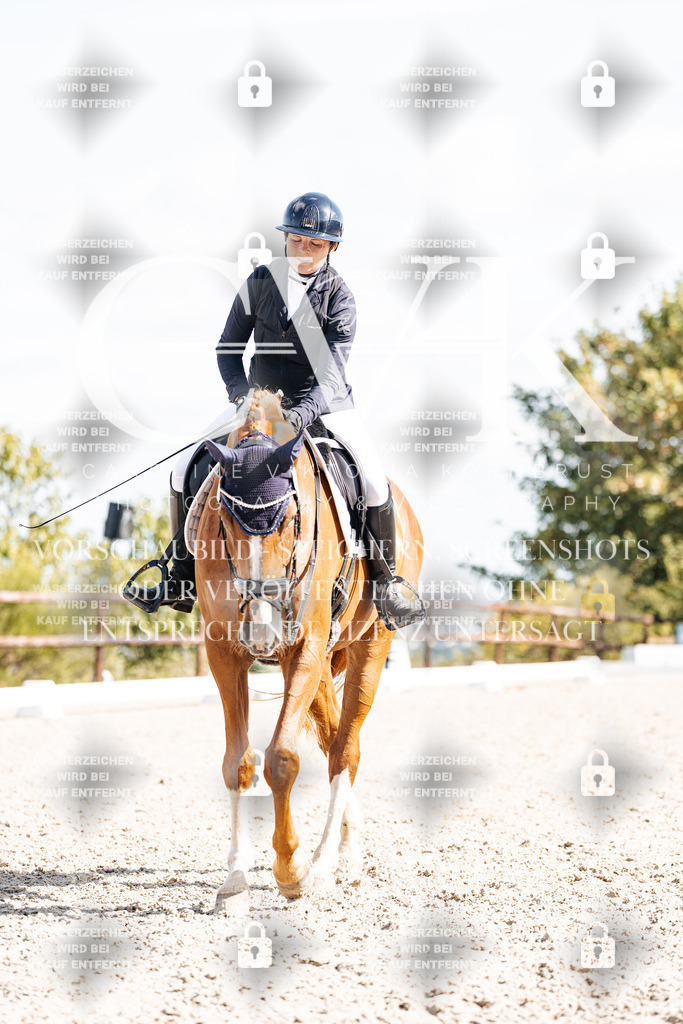 CK902512 | Turnierfotografie Pferdefotografie Trier Rheinland-Pfalz Pferdesport Reitsport Tierfotografie Sportfotografie Pferdevideo Pferdevideografie Equestrianvideography equestrianphotography  - Realisiert mit Pictrs.com