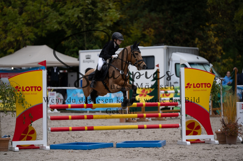 A7V00507 | Pferdefotograf